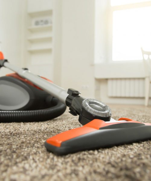 Vacuum cleaner on the carpet